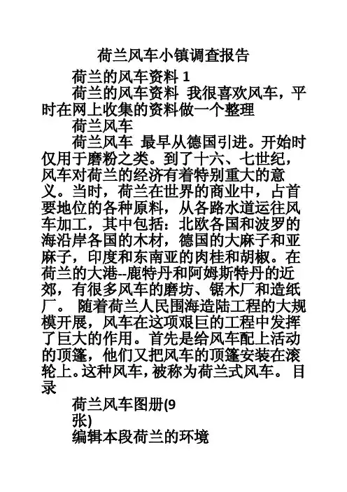 荷兰风车小镇调查报告