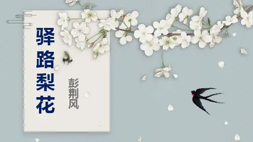 《驿路梨花》课件