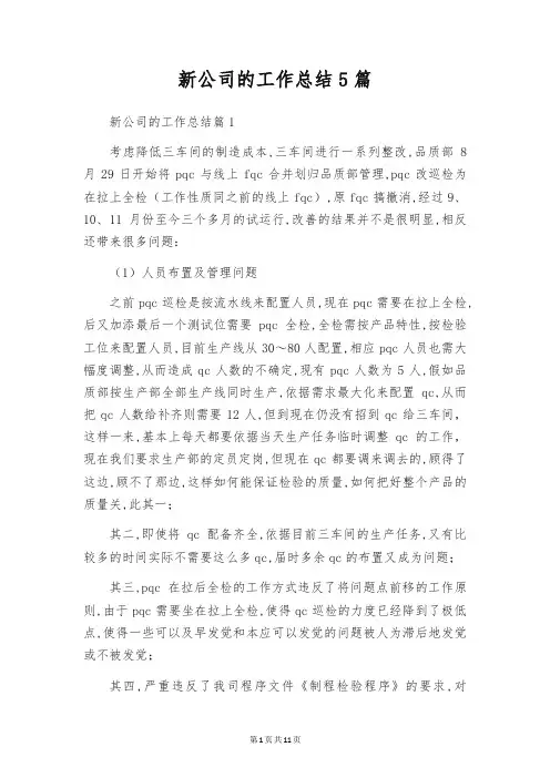 新公司的工作总结5篇