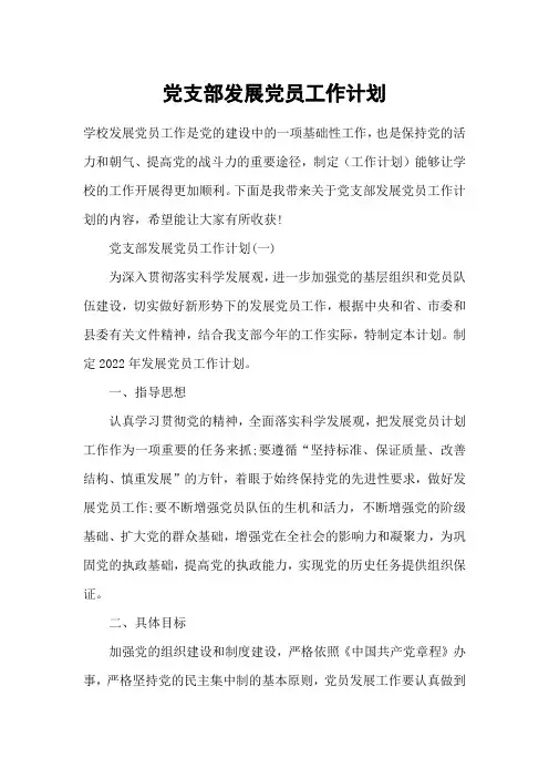 党支部发展党员工作计划