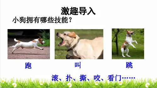 部编版三年级语文上册第四单元第14课《小狗学叫》教学课件
