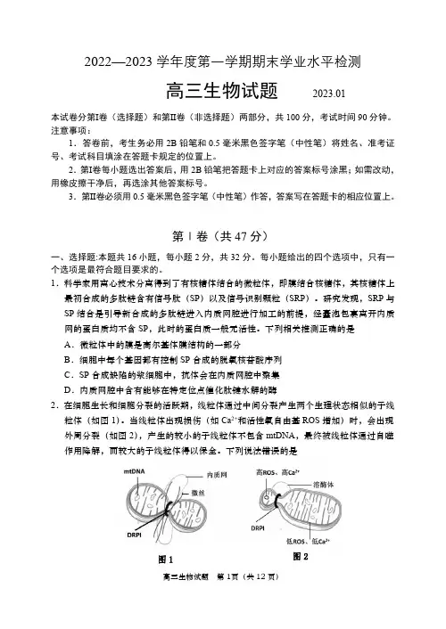 山东省青岛市2022-2023学年高三上学期期末考试生物试卷及答案