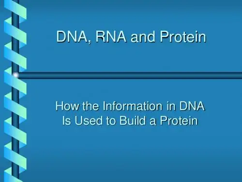 DNA,RNA,Protein遗传物质