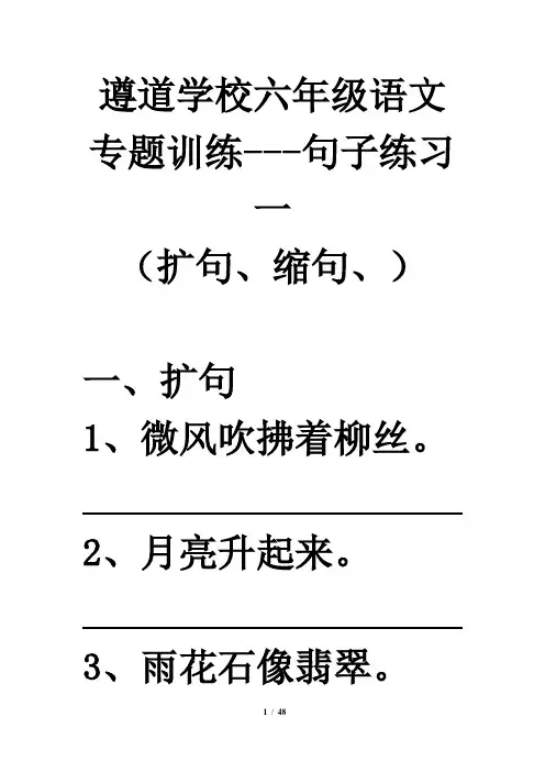 六年级语文复习,句子