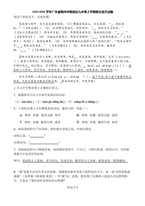 2023-2024学年广东省梅州市梅县区九年级上学期期末语文试题