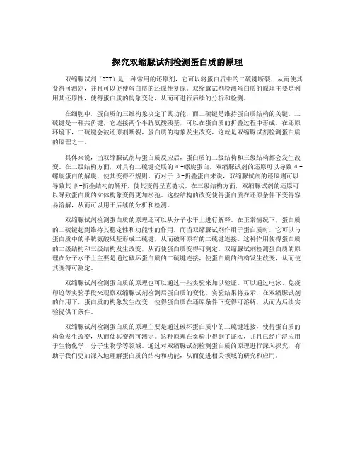 探究双缩脲试剂检测蛋白质的原理
