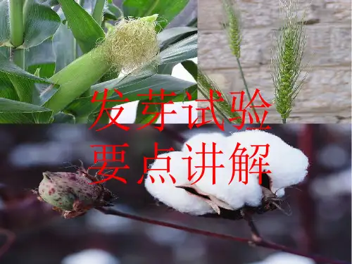 发芽试验