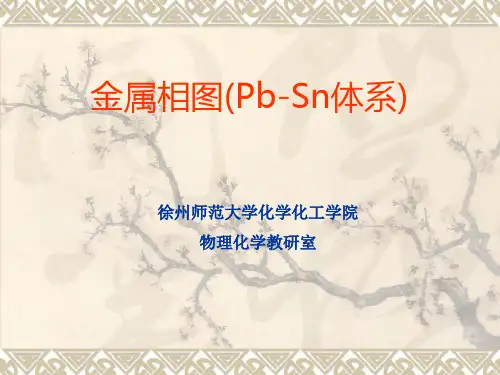 金属相图(Pb-Sn体系)