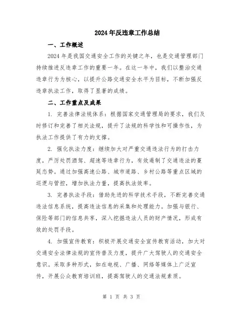 2024年反违章工作总结