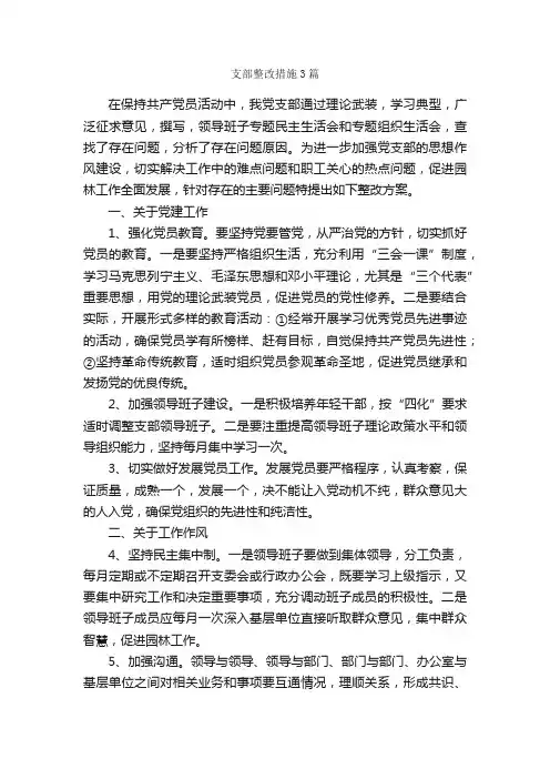 支部整改措施3篇_整改措施_