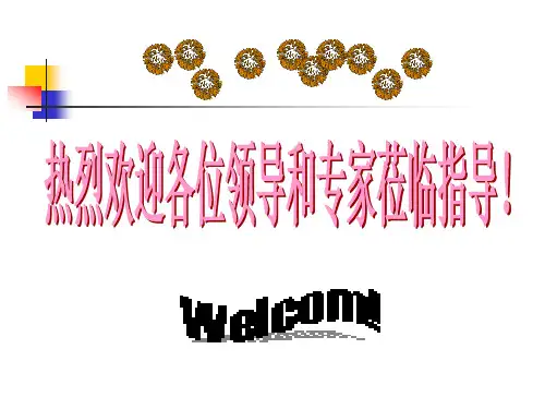 企业信息化建设情况汇报PPT