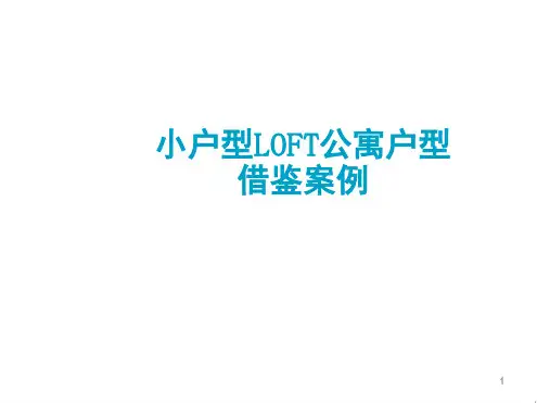 小户型loft公寓户型优劣势分析万科派精选文档