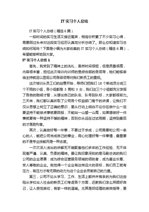 IT实习个人总结