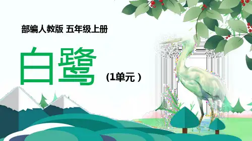 小学语文人教版五年级上册《白鹭》课件(共36张PPT)