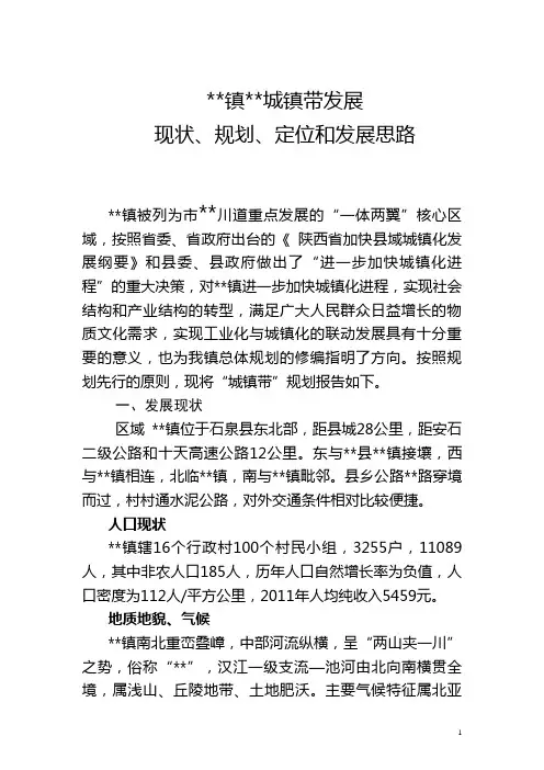 集镇发展现状、规划、定位和发展思路