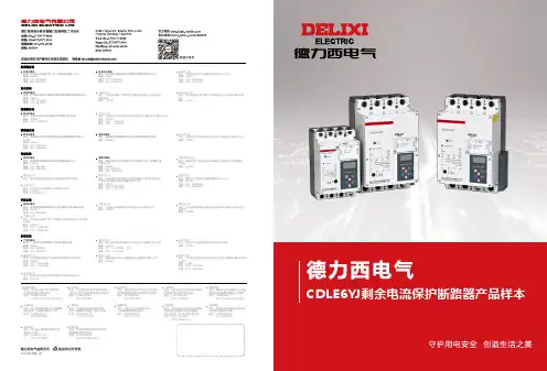 德力西电气 CDLE6YJ计量型剩余电流保护断路器产品样本2023年第1版 说明书