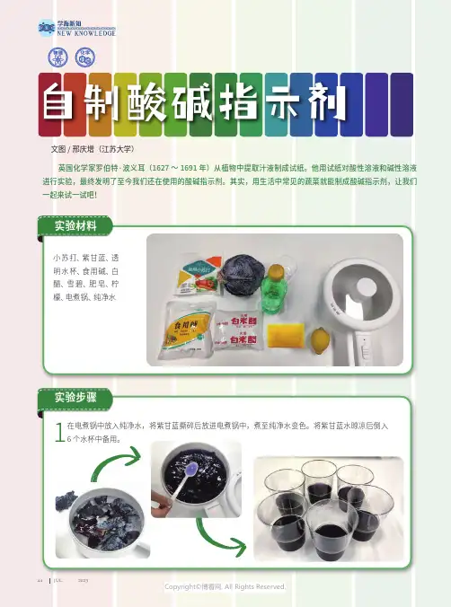 219481179_自制酸碱指示剂