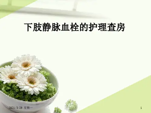 下肢静脉血栓护理查房