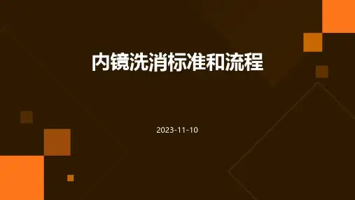 内镜洗消标准和流程