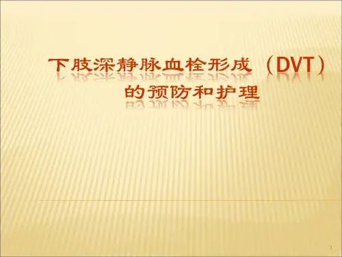 DVT预防及护理PPT医学课件