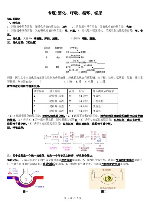 专题4：消化、呼吸、循环、泌尿系统