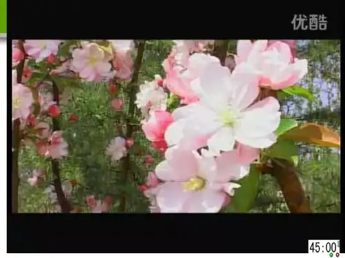 文化生活  10-2思想道德修养与科学文化修养