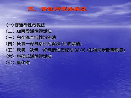 水污染控制工程 第九章 活性污泥法3