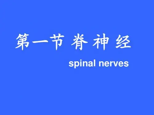 神经系统解剖-韩曙(第一节_脊_神_经
