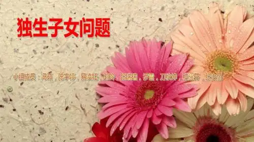 人口学演示文稿