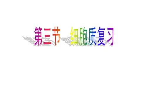 线粒体核糖体