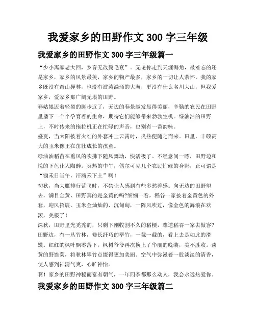 我爱家乡的田野作文300字三年级