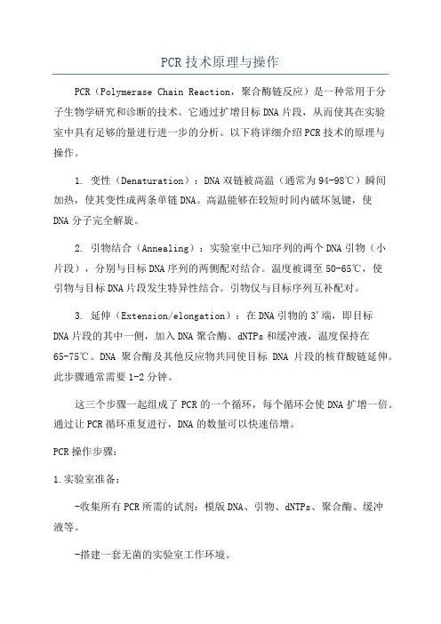 PCR技术原理与操作