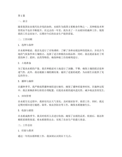 栽水稻的工作总结范文(3篇)
