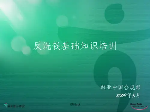 反洗钱基础知识培训