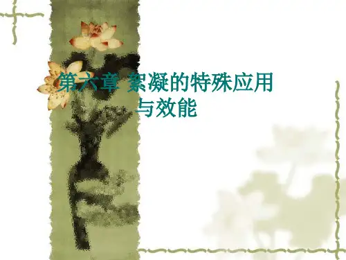 水处理絮凝学 第六章