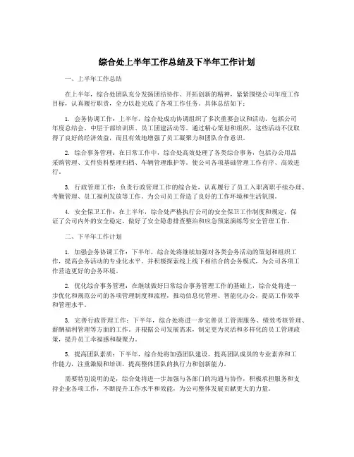综合处上半年工作总结及下半年工作计划