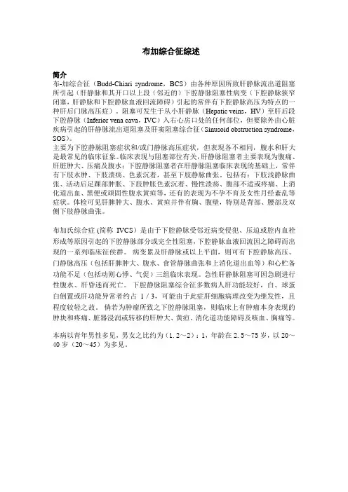 布加综合征综述