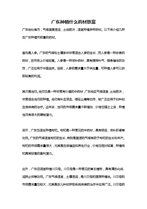 广东种植什么药材致富