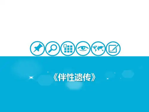 人教生物教材伴性遗传PPT精讲课件
