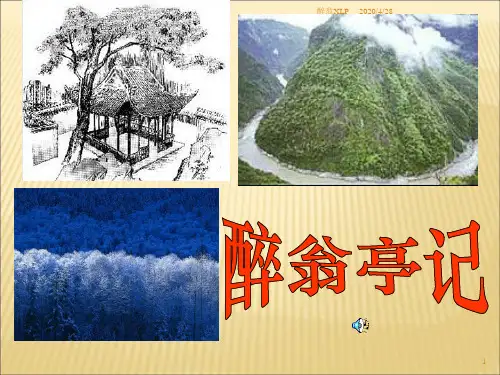 2018新人教版部编本九年级上册语文醉翁亭记课件