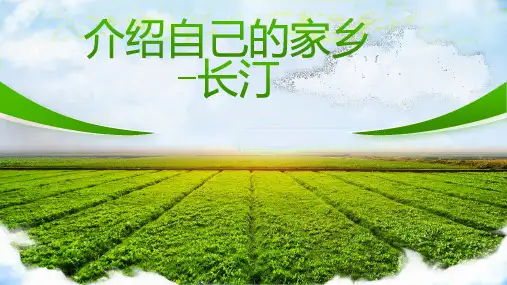 介绍自己的家乡长汀