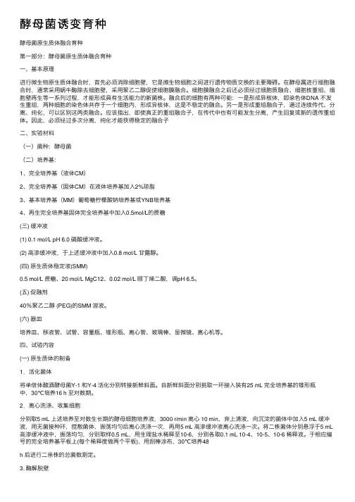 酵母菌诱变育种