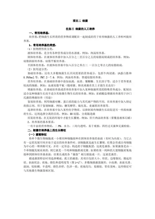 动物微生物2.3细菌的人工培养