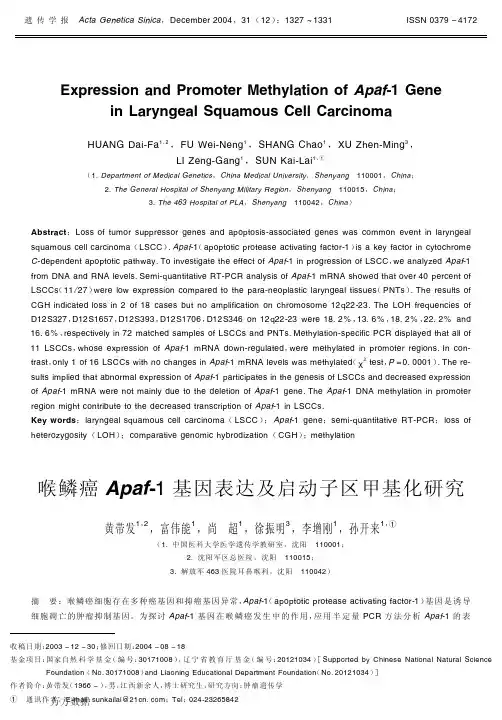 喉鳞癌Apaf-1基因表达及启动子区甲基化研究