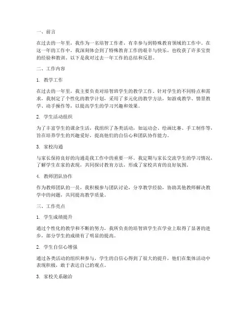 培智个人工作总结