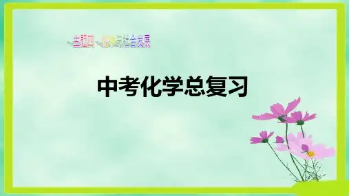 人教版九年级中考化学复习方案_主题4_化学与社会发展课件