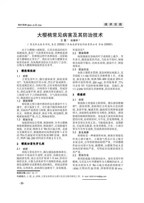 大樱桃常见病害及其防治技术