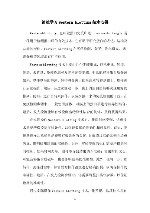 论述学习western blotting技术心得