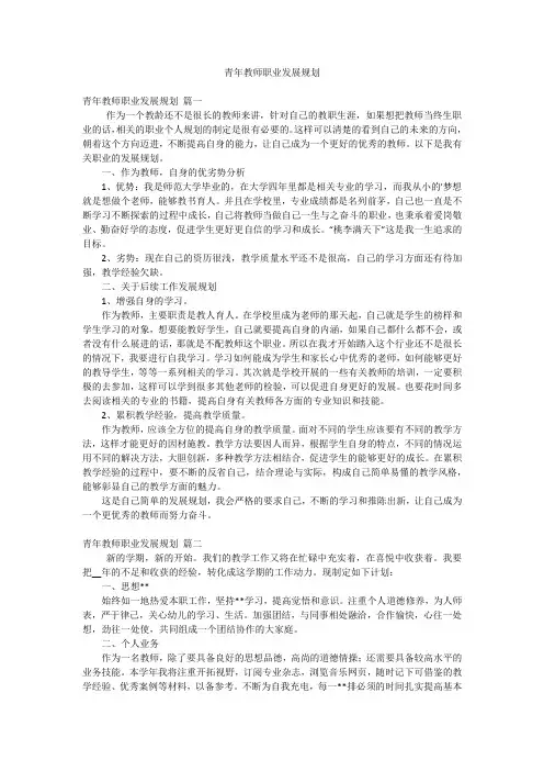 青年教师职业发展规划