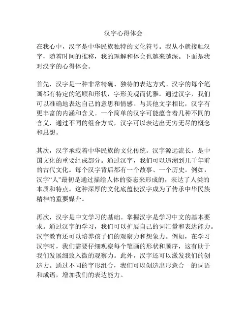 汉字心得体会
